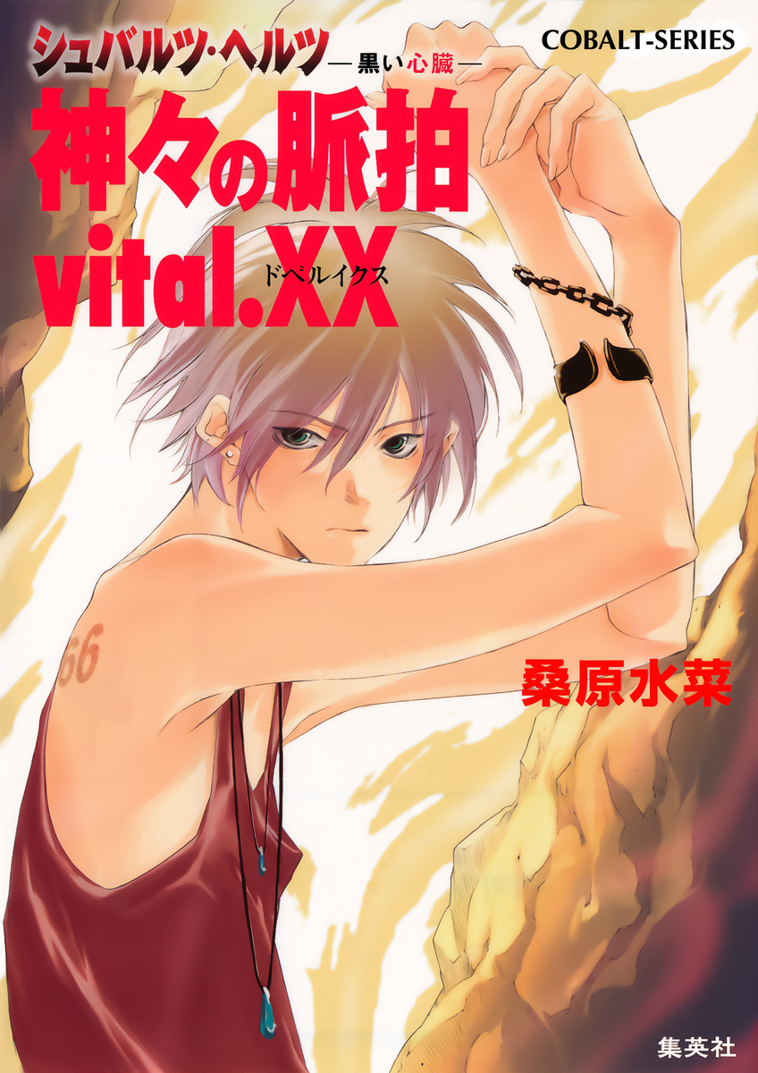 シュバルツ・ヘルツ ―黒い心臓― 10 神々の脈拍 vital.XX 画像1