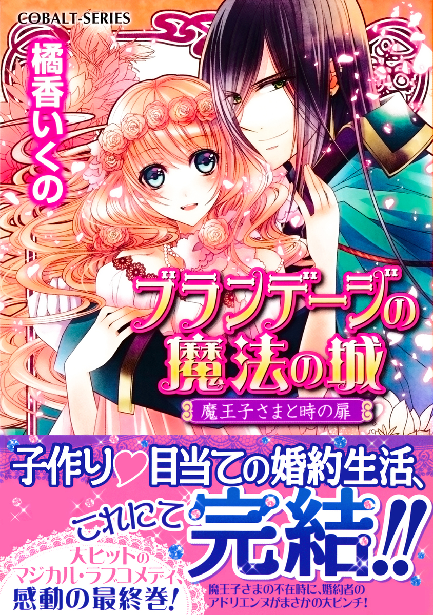 ブランデージの魔法の城 魔王子さまと時の扉 画像1