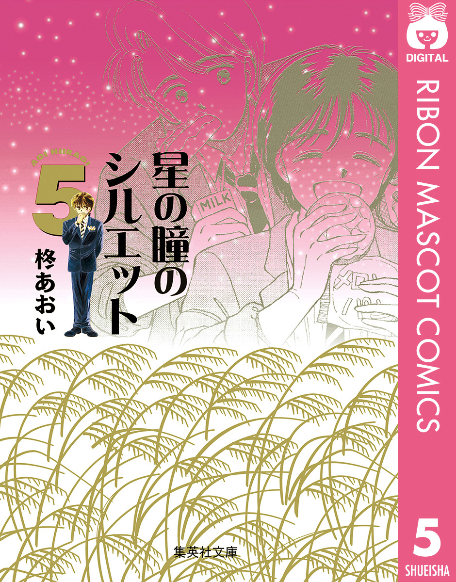 星の瞳のシルエット 集英社版 5／柊あおい | 集英社 ― SHUEISHA ―