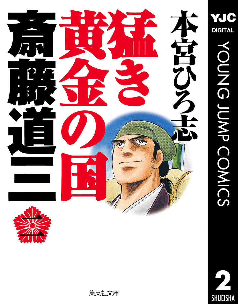 DVD 宝塚歌劇団 雪組 猛き黄金の国/パッサージュ ブックレットに破れあり 轟悠 映画、ビデオ