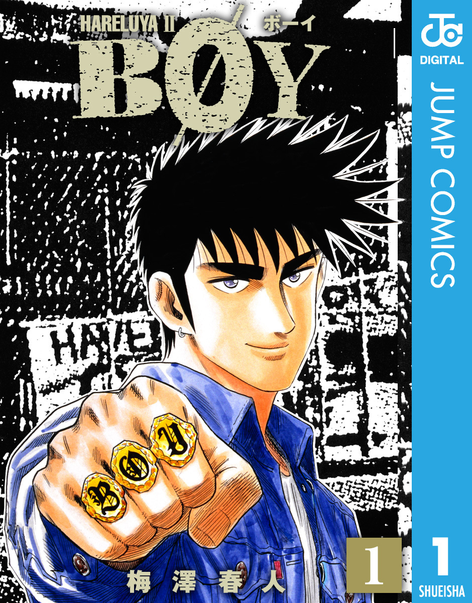 Ｂｏｙ Ｈａｒｅｌｕｙａ ２ １０/集英社/梅澤春人 - 青年漫画