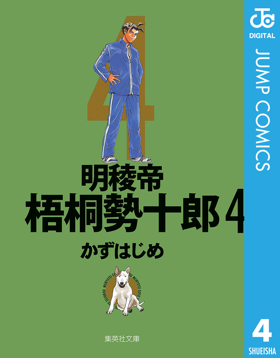 明稜帝梧桐勢十郎 4 画像1