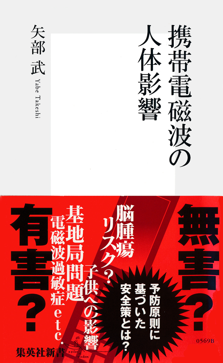 携帯電磁波の人体影響 画像1