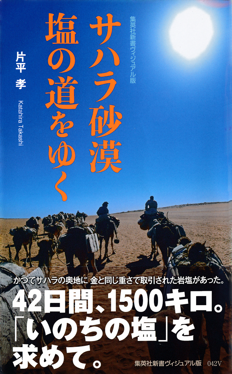 サハラ砂漠 塩の道をゆく 画像1