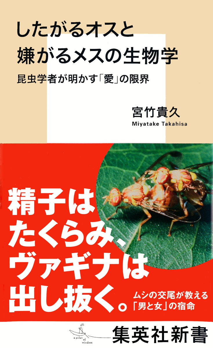 したがるオスと嫌がるメスの生物学 昆虫学者が明かす「愛」の限界 画像1