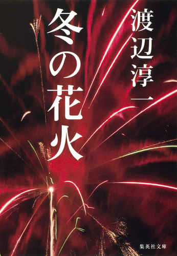 冬の花火　花村えい子・著　渡辺淳一・原作 1991年第1刷　講談社 08746629949112000000.jpg