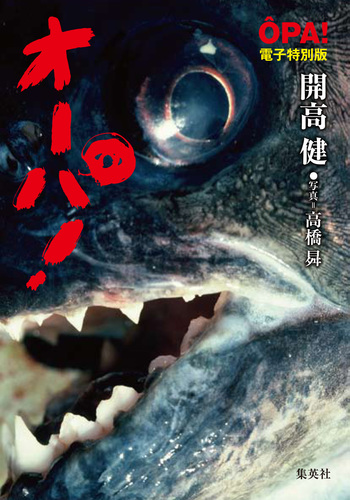 【総額10100円相当】開高健 オーパ、オーパ！他 総額10100円相当】開高健 オーパ、オーパ！他