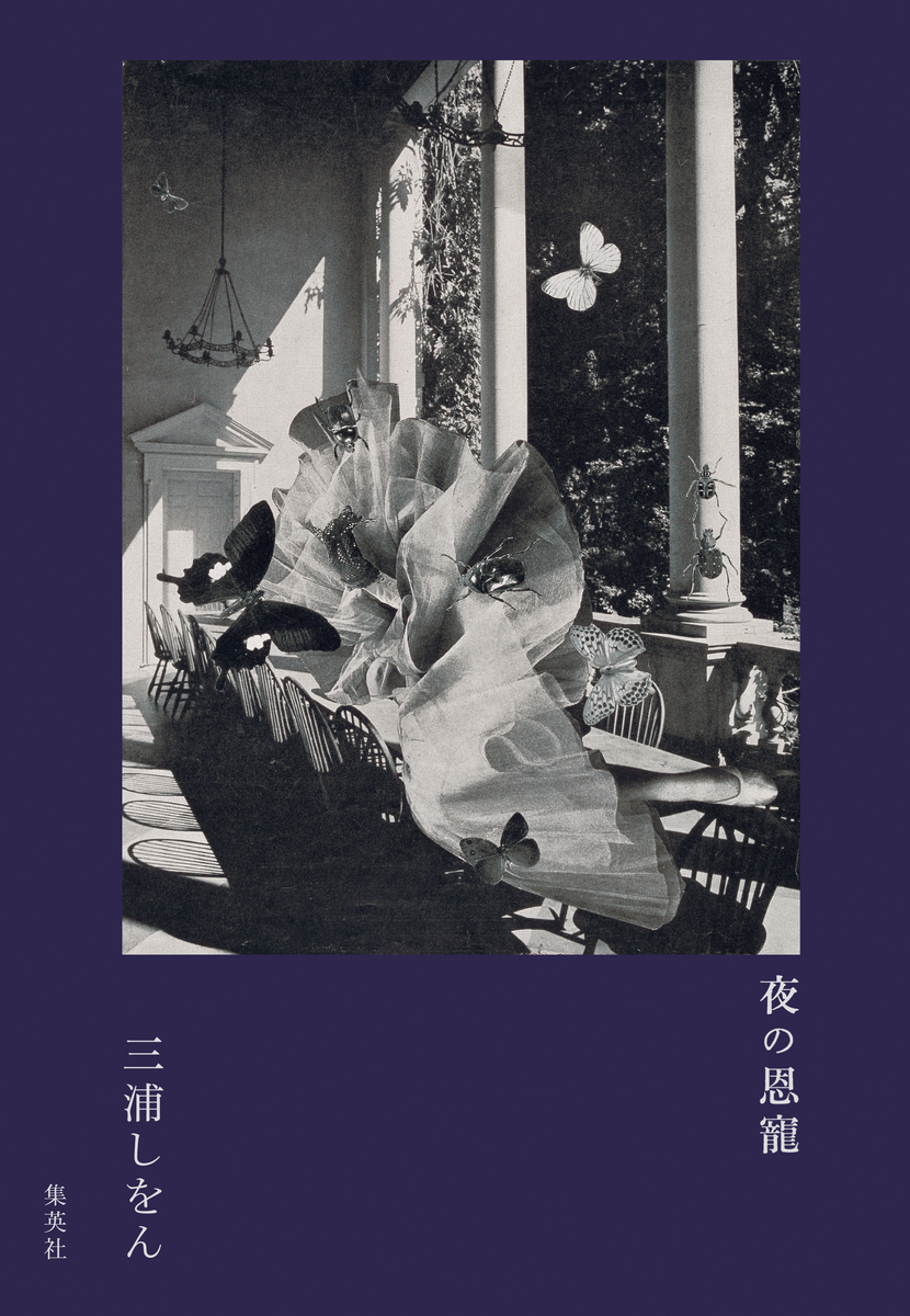 夜の恩寵 画像1
