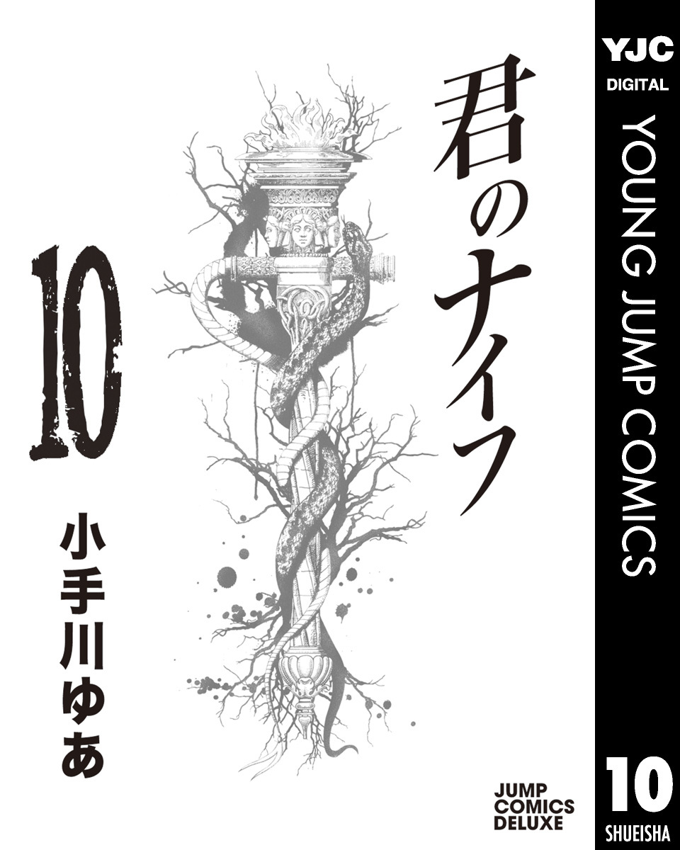 君のナイフ 集英社版 10／小手川ゆあ | 集英社コミック公式 S-MANGA