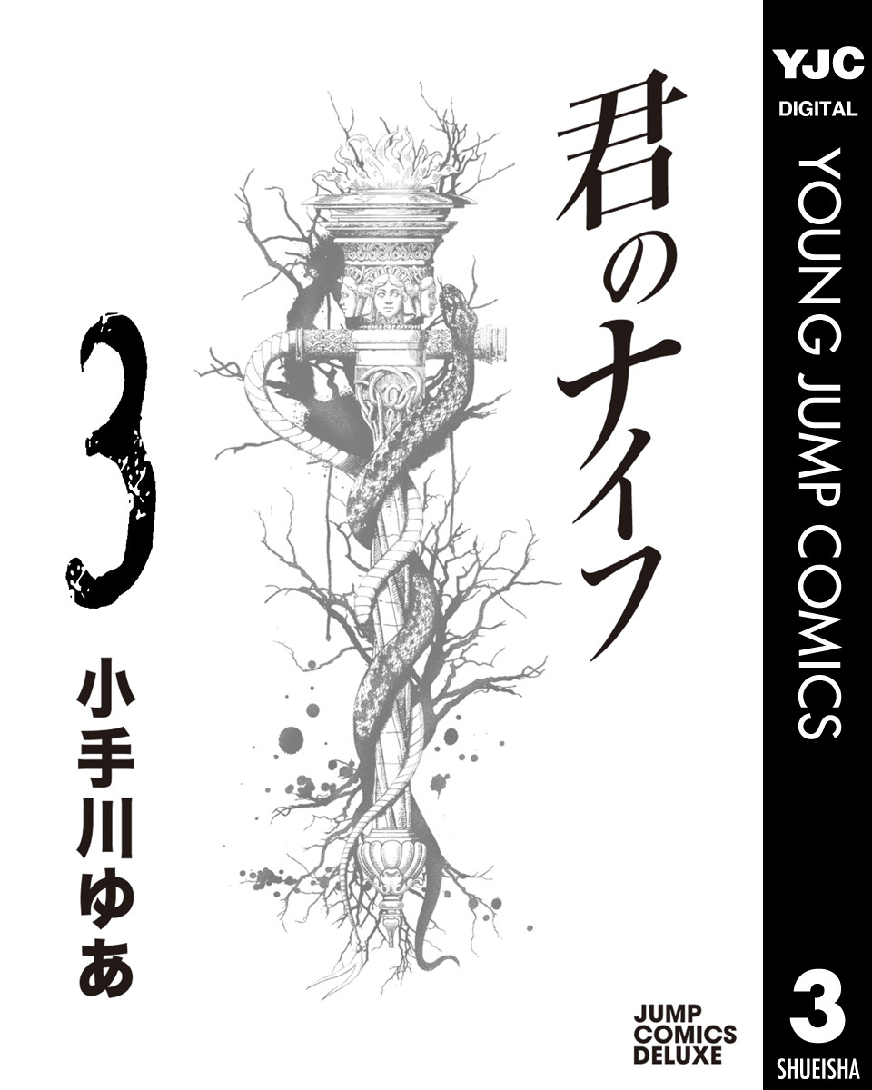 君のナイフ 集英社版 3 小手川ゆあ 集英社の本 公式