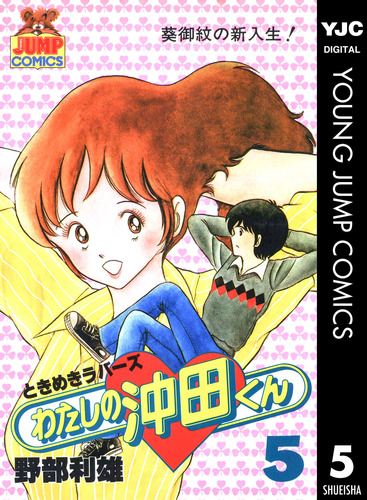 わたしの沖田くん 5／野部利雄 | 集英社 ― SHUEISHA ―