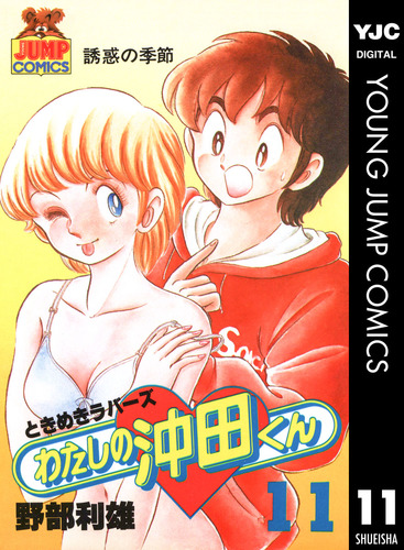 わたしの沖田くん 11／野部利雄 | 集英社 ― SHUEISHA ―