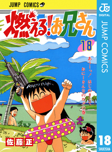 燃える！お兄さん 18／佐藤正 | 集英社 ― SHUEISHA ―