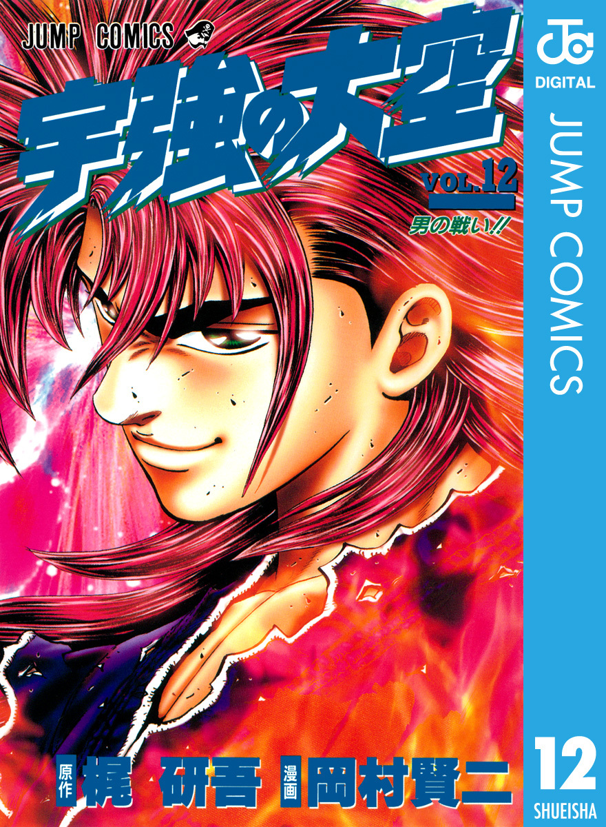 宇強の大空 12／梶研吾／岡村賢二 | 集英社 ― SHUEISHA ―