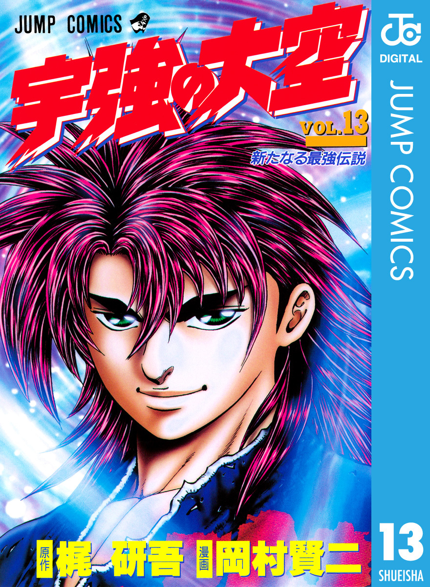 宇強の大空 13／梶研吾／岡村賢二 | 集英社 ― SHUEISHA ―