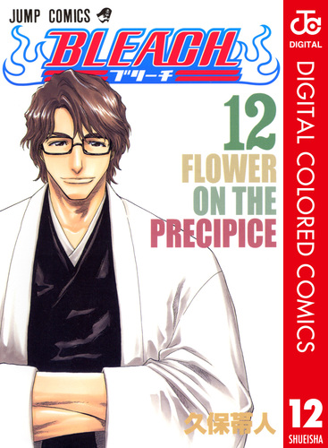 BLEACH カラー版 12／久保帯人 | 集英社 ― SHUEISHA ―