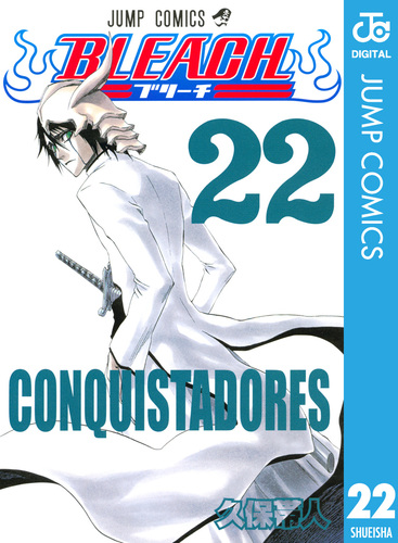 BLEACH モノクロ版 22／久保帯人 | 集英社 ― SHUEISHA ―