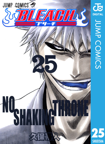 BLEACH モノクロ版 25／久保帯人 | 集英社 ― SHUEISHA ―