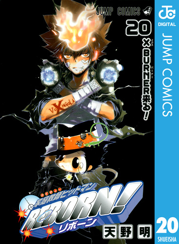 家庭教師ヒットマンREBORN! 複製原画　天野明 08874525873680315501.jpg