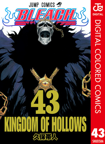 BLEACH カラー版 43／久保帯人 | 集英社コミック公式 S-MANGA