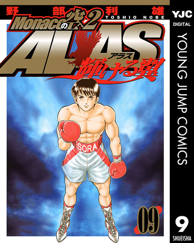 Monacoの空へ2 ALAS～輝ける翼～ 9／野部利雄 | 集英社 ― SHUEISHA ―