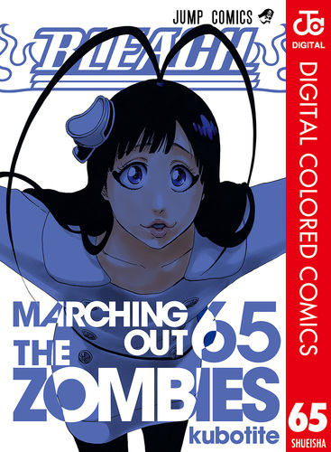 BLEACH カラー版 65／久保帯人 | 集英社 ― SHUEISHA ―