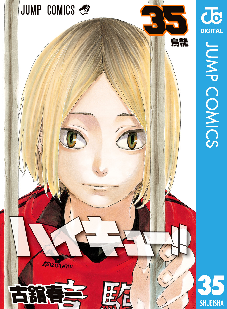 ティミー様専用 ハイキュー!! 1～29・31～35巻 小説版Ⅰ～Ⅲ 古舘春一-