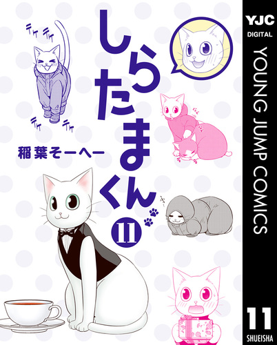しらたまくん 11 稲葉そーへー 集英社コミック公式 S Manga