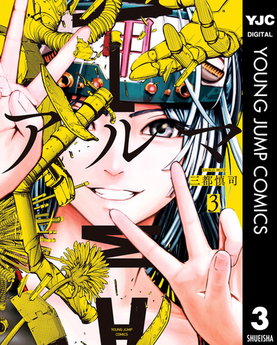 エルマクリア3本 Enigma-Z Sliding Shower Enclosure - Lowes