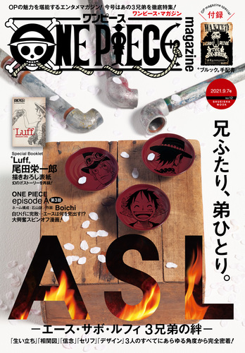 One Piece Magazine Vol 12 尾田栄一郎 集英社 Shueisha