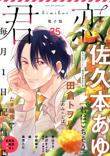 佐久本 あゆ BL コミック 14冊+ポストカード - メルカリ