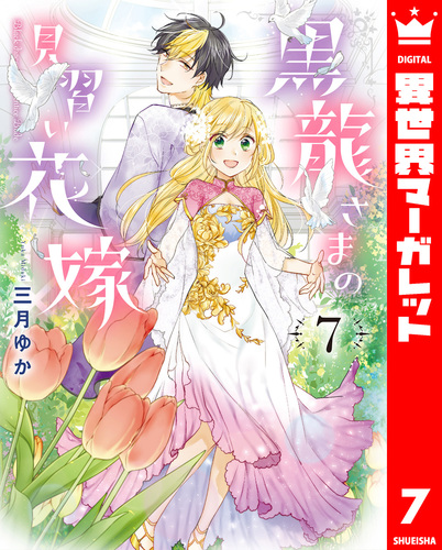 黒龍さまの見習い花嫁 1〜11巻 全巻セット 全巻セット