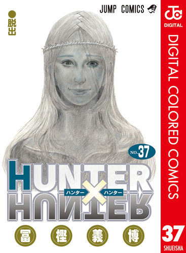 HUNTER×HUNTER カラー版 37／冨樫義博 | 集英社コミック公式 S-MANGA