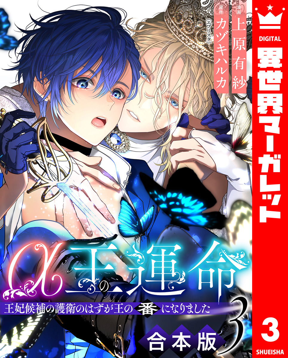 【合本版】α王の運命~王妃候補の護衛のはずが王の番になりました~ 3 画像1