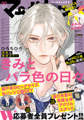 ✨集英社のコミックス・ニュースなど✨】☆1992年〜最近の冊子