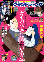 【✨集英社のコミックス・ニュースなど✨】★1992年〜最近の冊子 新刊案内★ ✨集英社のコミックス・ニュースなど✨】☆1992年〜最近の冊子