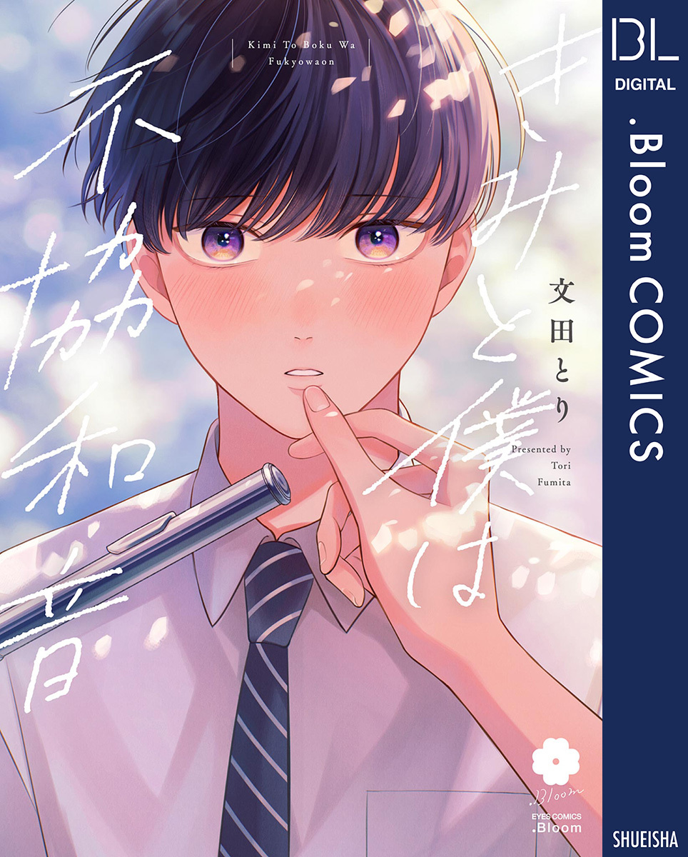 きみと僕は不協和音【電子限定描き下ろし付き】 画像1