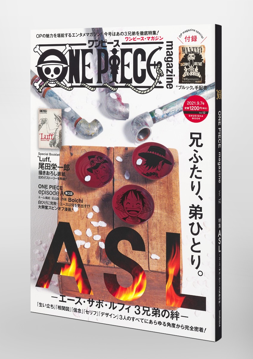 【新品国産】ONE PIECE magazine Vol.1~12 + 非売品(x7) + CD(x3) + 関連書(x13) + GOODS(x15) = 計50点 尾田栄一郎 全巻 全巻セット