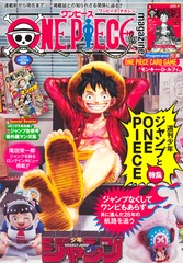 少年漫画 ONE PIECE 811WxtTZBML._UF350,350_QL50_.jpg