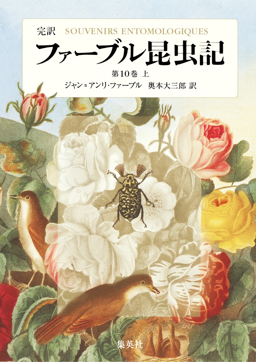 ファーブル昆虫記 完訳 第1巻 〜第10巻 全20冊 - 参考書