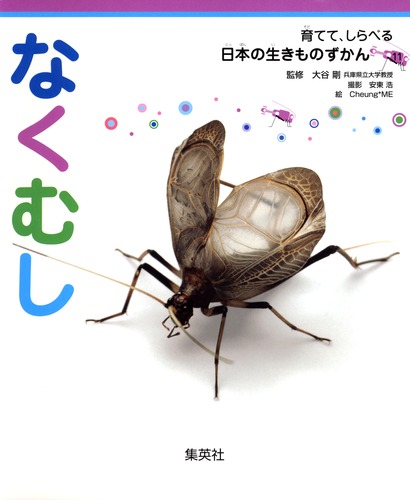 育てて、しらべる 日本の生きものずかん 11 なくむし／大谷 剛／安東 浩／Cheung ME | 集英社 ― SHUEISHA ―