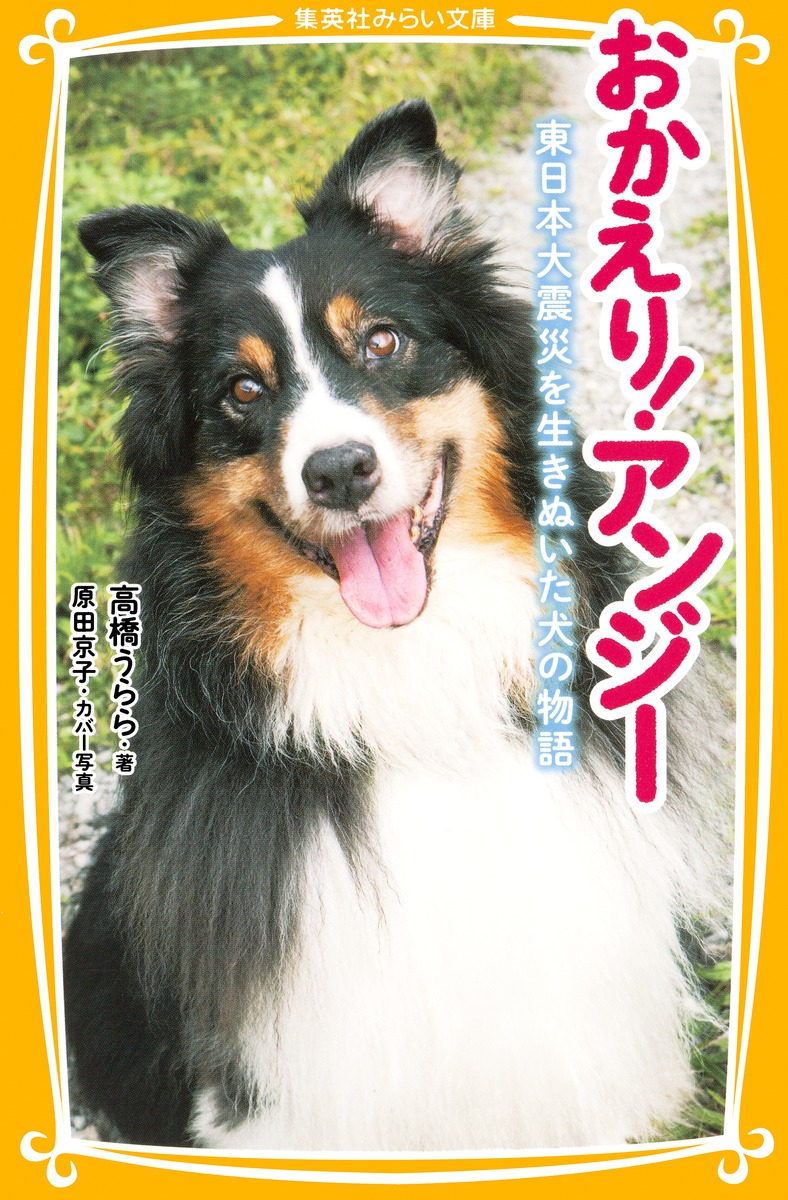 おかえり アンジー 東日本大震災を生きぬいた犬の物語 高橋 うらら 原田 京子 集英社の本 公式