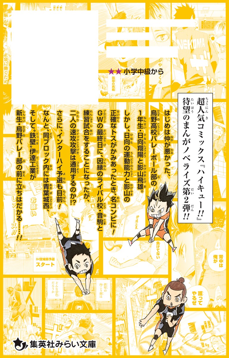 ハイキュー！！　全巻＋33.5巻＋37巻カバー＋小説版文庫音駒 Amazon.co.jp: ハイキュー 劇場版 ゴミ捨て場の決戦 33.5巻 音駒
