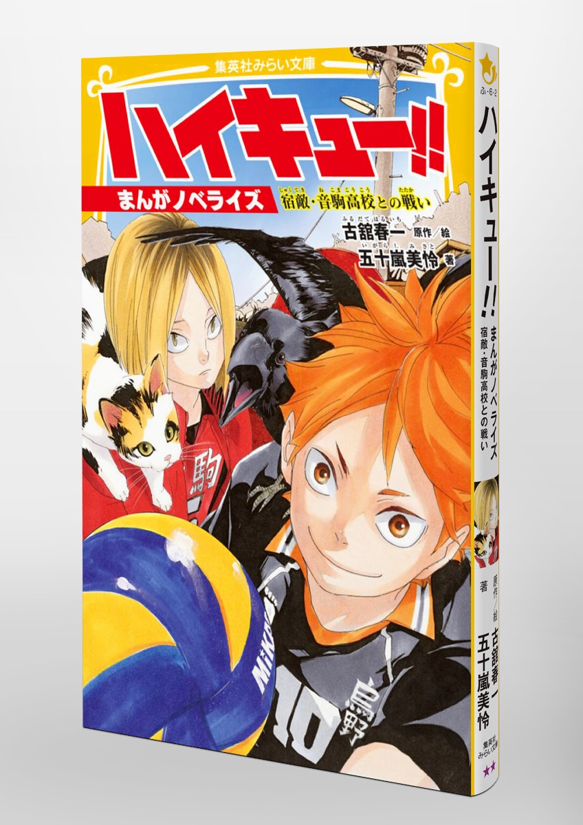 ハイキュー!! まんがノベライズ 宿敵・音駒高校との戦い 画像3