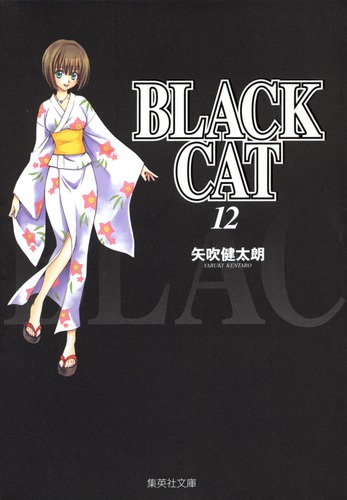 BLACK CAT 12／矢吹 健太朗 | 集英社コミック公式 S-MANGA