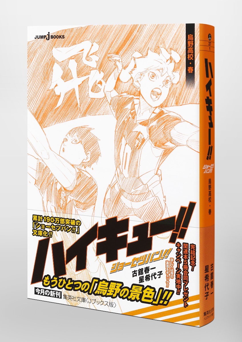 ハイキュー ショーセツバン 烏野高校 春 古舘 春一 星 希代子 集英社コミック公式 S Manga