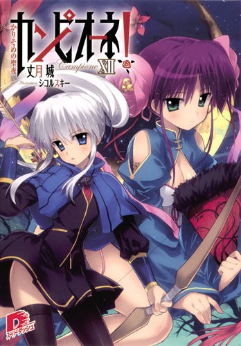カンピオーネ！ 12 かりそめの聖夜／丈月 城／シコルスキー | 集英社