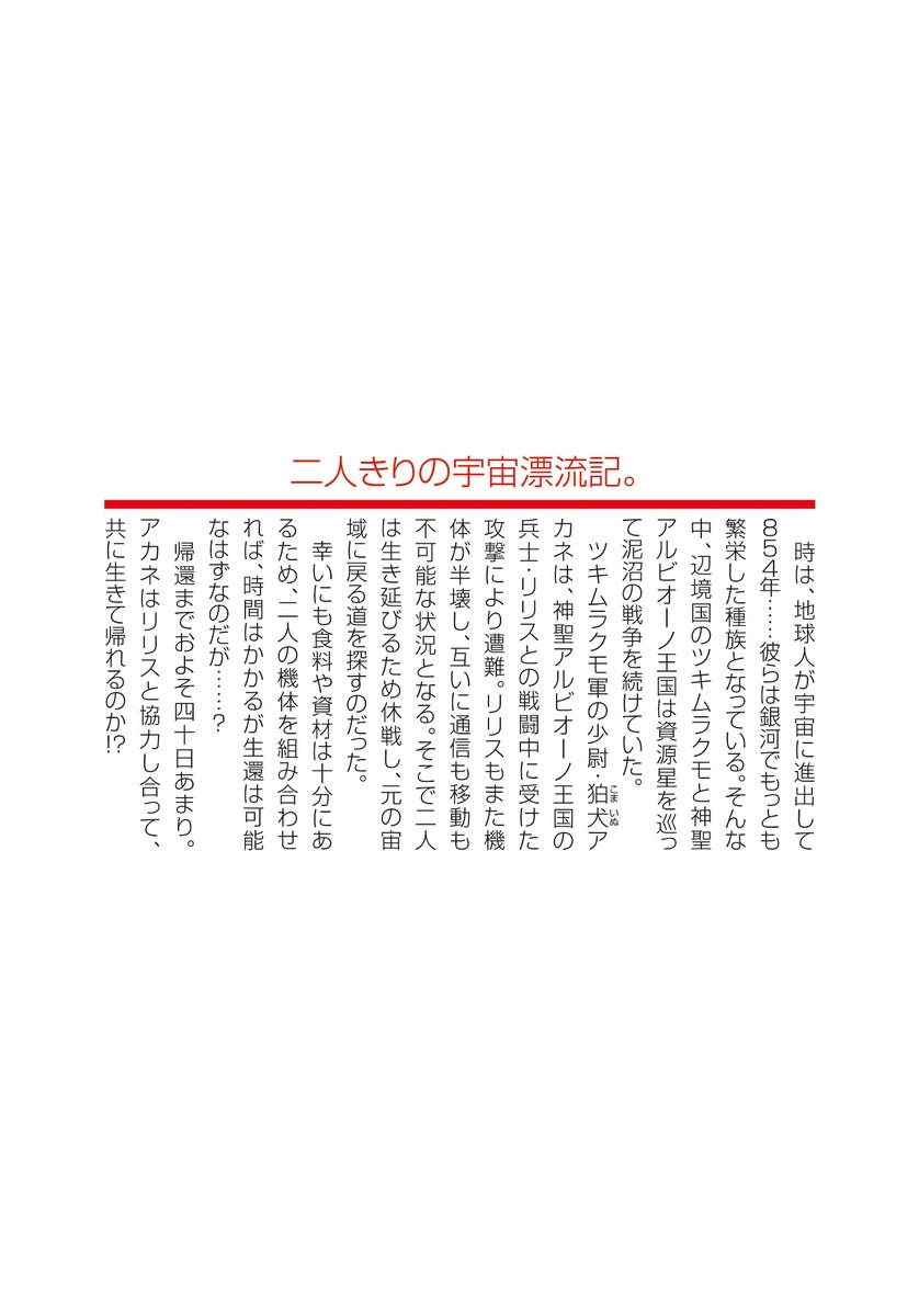 漂流英雄 エコー・ザ・クラスタ 画像2