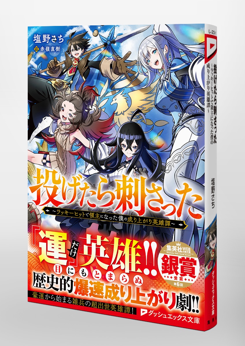 投げたら刺さった ~ラッキーヒットで領主になった僕の成り上がり英雄譚~ 画像5
