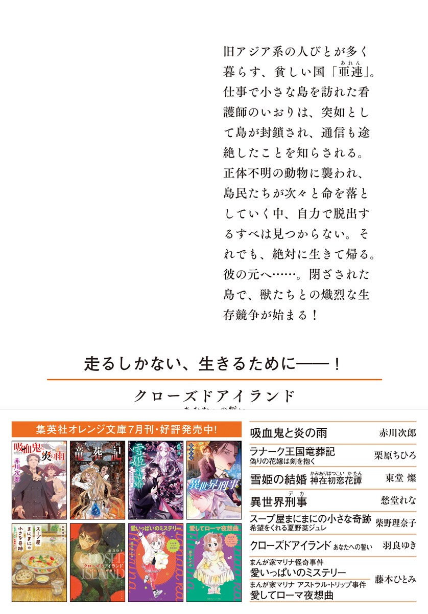 クローズドアイランド あなたへの誓い 画像3